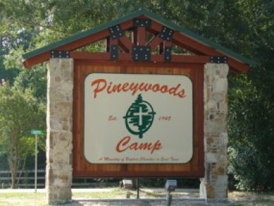 piney-woods